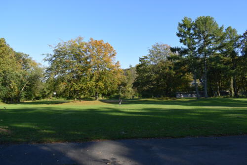 DSC 0036