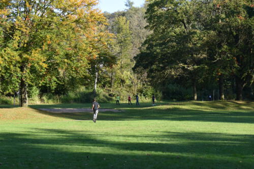 DSC 0037