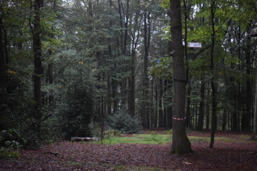DSC 0275