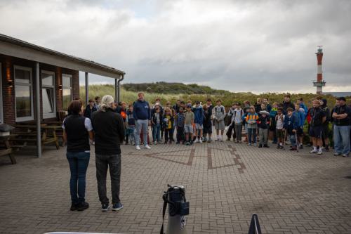 1190 Wangerooge 26