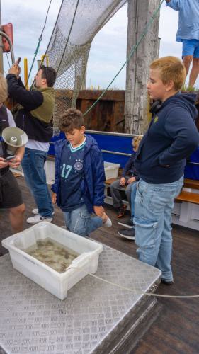 172 Wangerooge 26