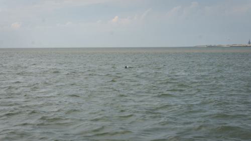 185 Wangerooge 26