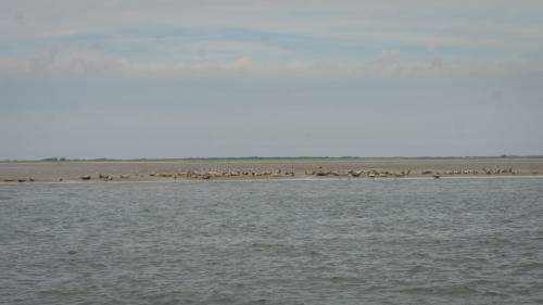 187 Wangerooge 26