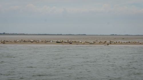 192 Wangerooge 26