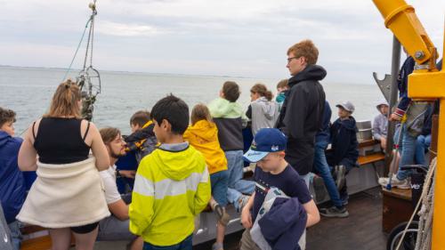 197 Wangerooge 26