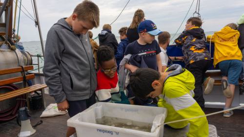 200 Wangerooge 26