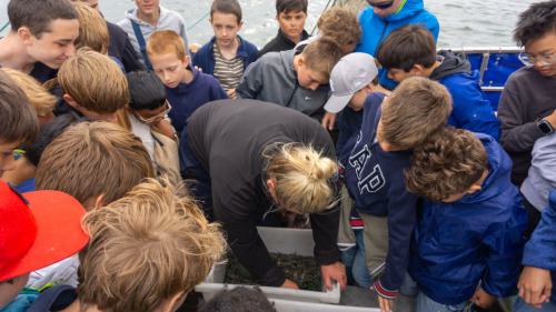 207 Wangerooge 26