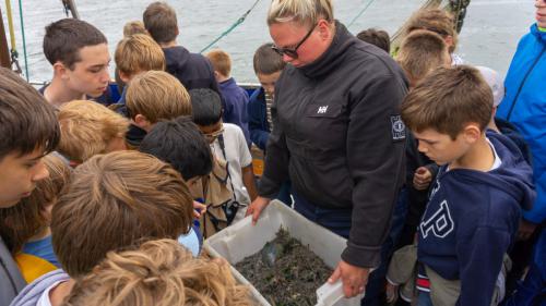 208 Wangerooge 26