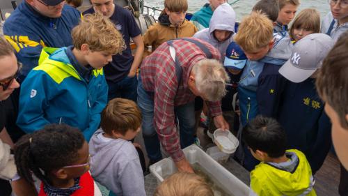 214 Wangerooge 26