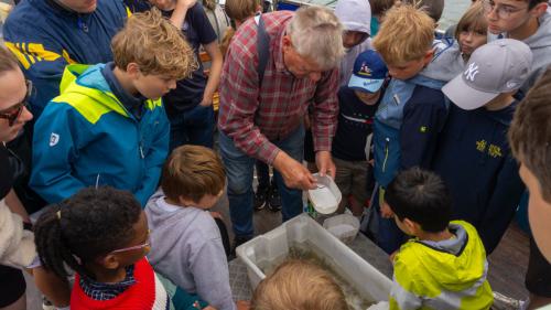 215 Wangerooge 26
