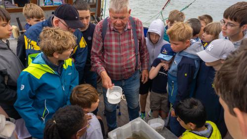 216 Wangerooge 26