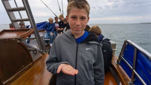 229 Wangerooge 26