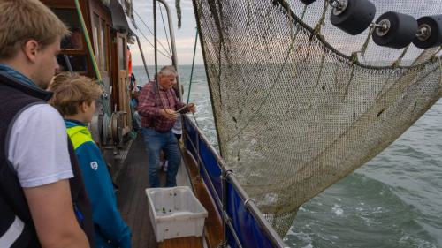 238 Wangerooge 26