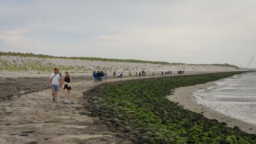 244 Wangerooge 26