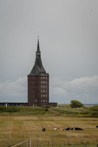 448 Wangerooge 26
