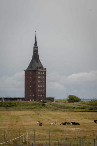 450 Wangerooge 26